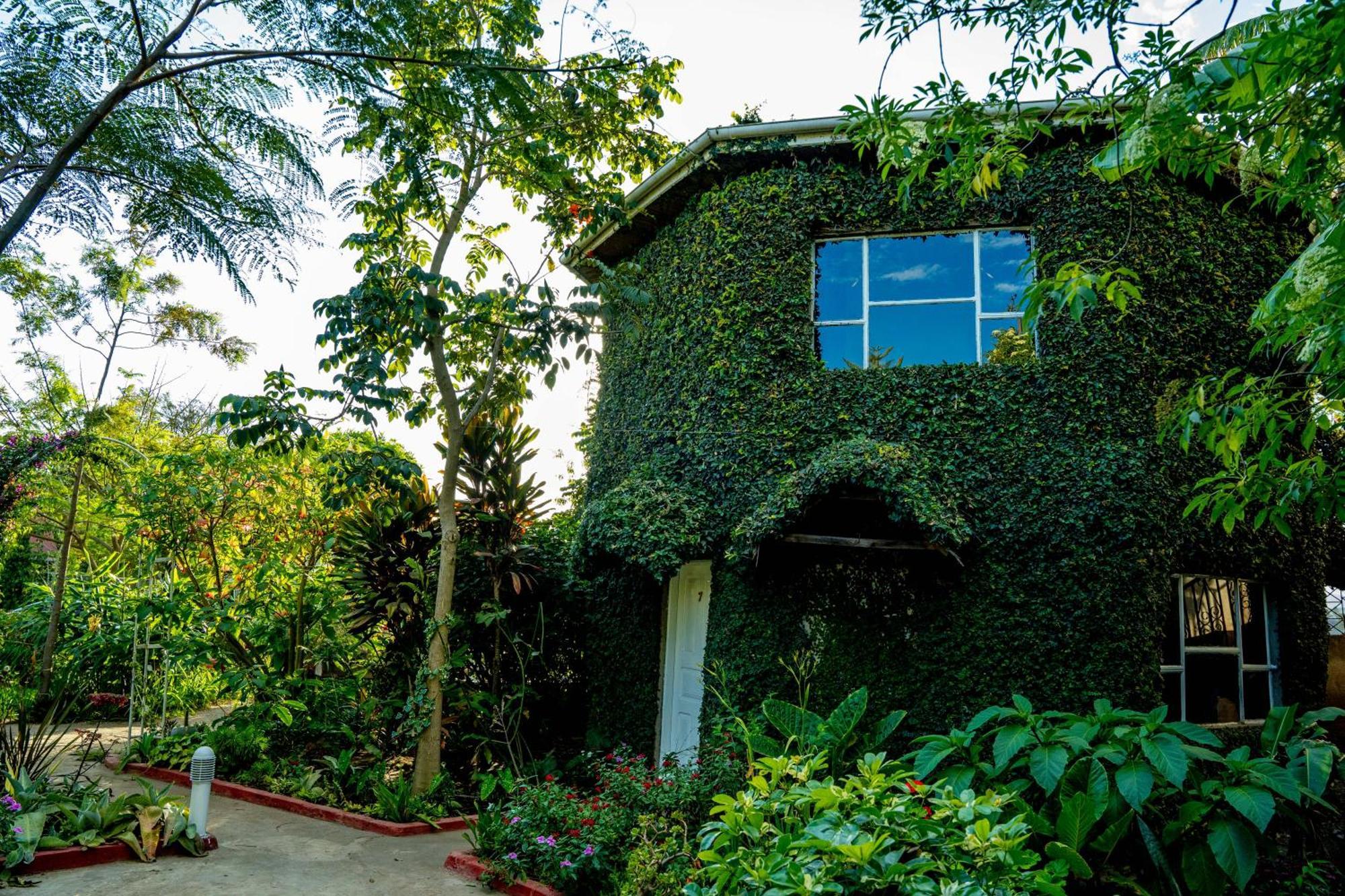 Dan Stam Hotel 阿鲁沙 外观 照片