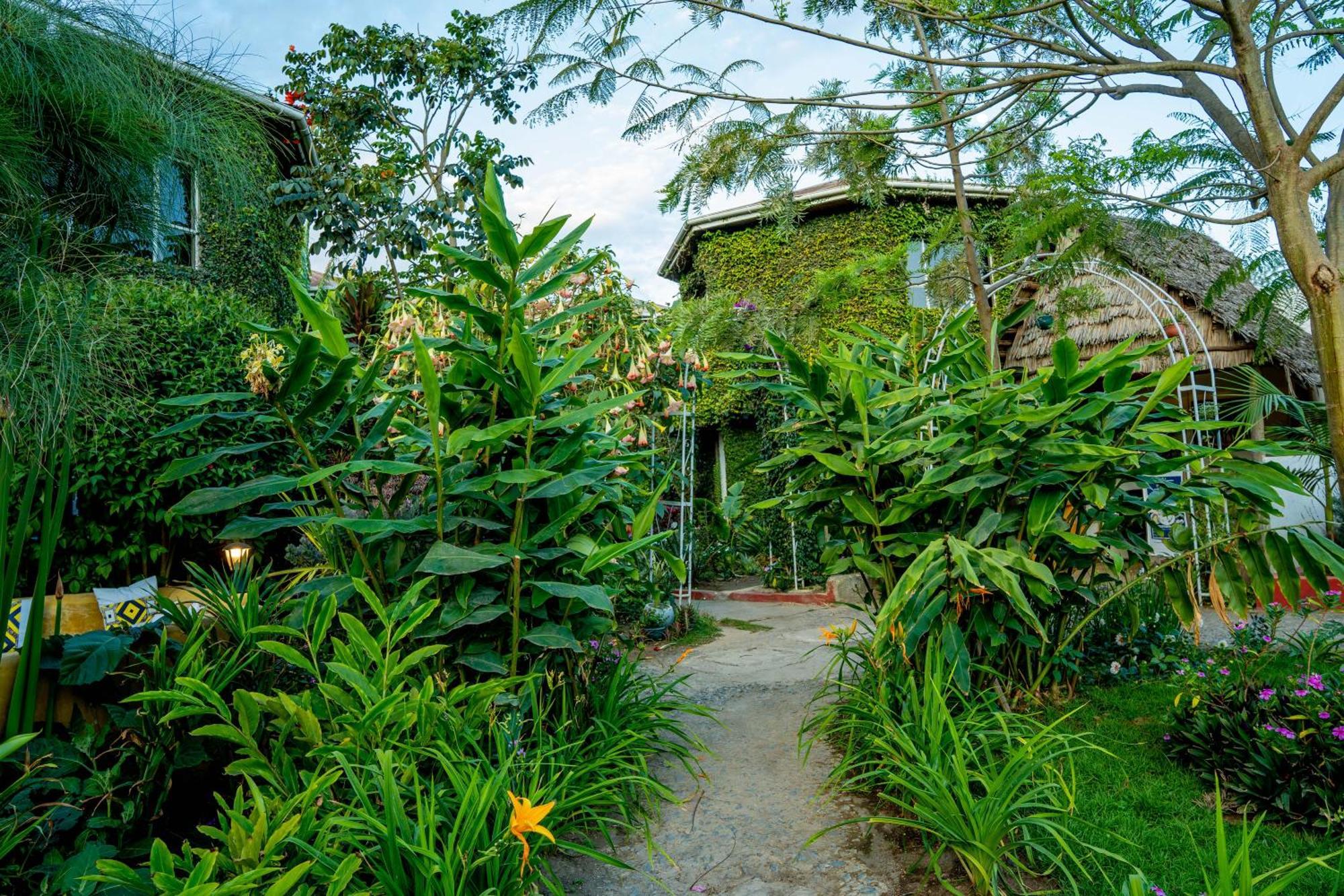 Dan Stam Hotel 阿鲁沙 外观 照片